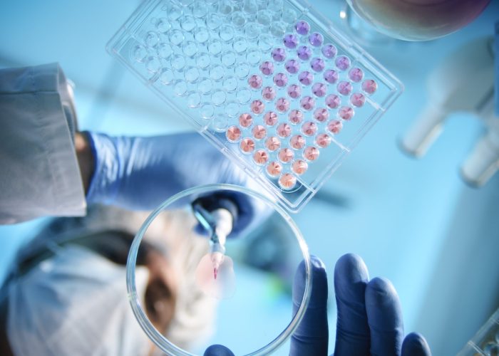 Lab Experiment A scientist using a pipette with a microtiter plate and a petri dish